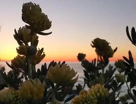 Parco vacanze Gargano Peschici
